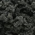 Clump Foliage, Conifer Green 3qt