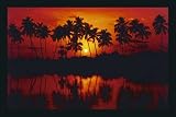 Las Palmas Palmen im Sonnenuntergang Poster Bilder