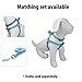 Pawtitas 6 FT Reflective Pet Puppy Leash - Comfortable Handle, Heavy Duty Training for Medium Dogs - Available in 4 FT or 6 FT