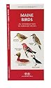 Maine Birds