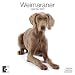 Weimaraner 2010 Wall Calendar AP30474