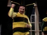 Saturday Night Live (SNL) November 27, 1976 - Jodie Foster / Brian Wilson