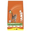 Iams Dry Cat Food Adult Lamb 3 Kg (Pack of 3)