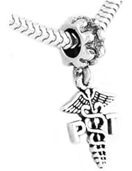 Sterling Silver One Sided Caduceus Physcial Therapist Dangle Bead Charm