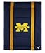 NCAA Michigan Wolverines - 5pc BED IN A BAG - Full/Double Bedding Set
