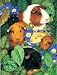 Guinea Pigs Jigsaw Puzzle 100 Piece