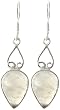 Rainbow Moonstone Earrings - Sterling Silver