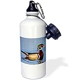 Danita Delimont - Ducks - Wood Duck, Aix sponsa, male in wetland, Marion Co. IL - 21 oz Sports Water Bottle (wb_205625_1)
