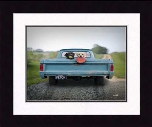 Fetch Original Art Photography by Ron Schmidt Double Matted Under Glass in 2 inch Black Satin Wood Frame - 16 x 20 inch