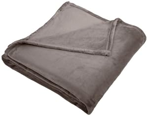 Pinzon Velvet Plush Blanket, Full/Queen, Grey