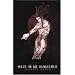 Fantasy, Vampire und Co