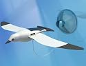 Flapping Sea Gull Robot - Mini Solar Kit