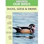 Our Birds, Ducks, Geese & Swans of North America