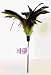 CATS CLAW JUMBO STARBURST TEASER 30 inch WAND