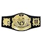 WWE Champion Undisputed Championship Belt