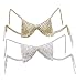 Gold or Silver Belly Dancer Bra