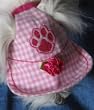 Dog Sun Visor in Pink for Dogs 12-25 Lbs