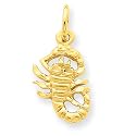 14k Scorpio Zodiac Charm