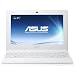 Asus X101 25,7 cm (10,1 Zoll) Netbook (Intel Atom N455, 1,6GHz, 1GB RAM, 32GB SSD, Intel 3150, Win 7 Starter) wei�
