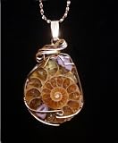 Ammonite Pendant 14k Gold Jewelry