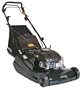 Hayter Harrier HARR56 Commercial Grade 22-Inch Briggs & Stratton 5.5 OHV Gas-Powered Self-Propelled Striping Lawn Mower