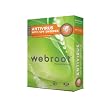 Webroot Antivirus With Spy Sweeper 2011 - 3 User Edition