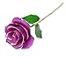 Amazleer Love Forever Long Stem Dipped 24k Gold Foil Trim Purple Rose Enchantress Flora with Thorns Real Rose Dipped in Gold