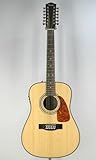 Fender Acoustics CD-160SE-12 NAT