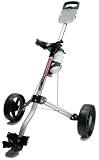 Fairway Flyer 603 - Charcoal Golf Cart