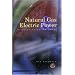Natural Gas & Electric Power in Nontechnical Language (Pennwell Nontechnical Series)