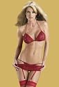 Plus Size Lace Peek-a-boo Stretch Bra Garterbelt and Panty