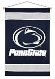 Michigan State Spartans Sideline Wall hanging