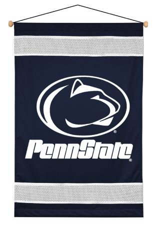 Michigan State Spartans Sideline Wall hanging