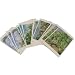 Cezanne in Provence Boxed Cards - 20 notecards Envelopes