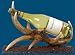 Sterling Industries 91-4854 Hunters Trophy Wineholder