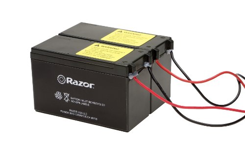 Razor Battery for E100 Electric Scooters