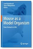 Mouse as a Model Organism: From Animals to Cells