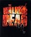 Changes The Walking Dead Men's Two Fire Logo 2015 T-shirt (2X-Large)