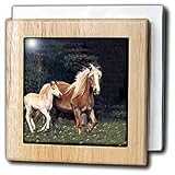 Palomino Pony - 6 Inch Tile Napkin Holder