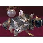 Two Sleeping Kittens Boxed Holiday Cards by  Sellers Publishing
