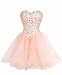Fashion Plaza Strapless Homecoming Dress Short D0147
