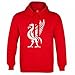 Liverpool Liverbird Crest Hoodie