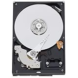Western Digital 250 GB RE3 SATA 7200 RPM 16 MB Cache Bulk/OEM Enterprise Hard Drive WD2502ABYS