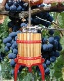 Fruit and Wine Press