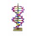 3B Scientific W55933 miniDNA 12 Layer Base Pair