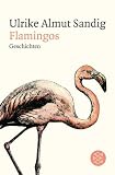 Produkt-Bild: Flamingos