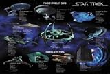 Star Trek Starships Poster