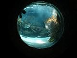 Fish in Aquarium, Mexico Mayan Riviera Photographic Poster Print by Keith Levit, 48x64 Reviews 41mtNej328L. SL160 Fish in Aquarium, Mexico Mayan Riviera Photographic Poster Print by Keith Levit, 48x64 Reviews