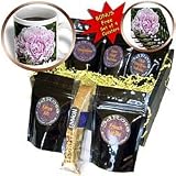 WhiteOak Photography Floral Prints - Pink Peony Pink Flower - Coffee Gift Baskets - Coffee Gift Basket