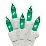 Set of 50 Teal Mini Christmas Lights - White Wire